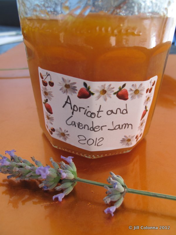 apricot lavender jam